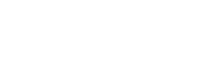mitchell & sons roofing logo upscaled white